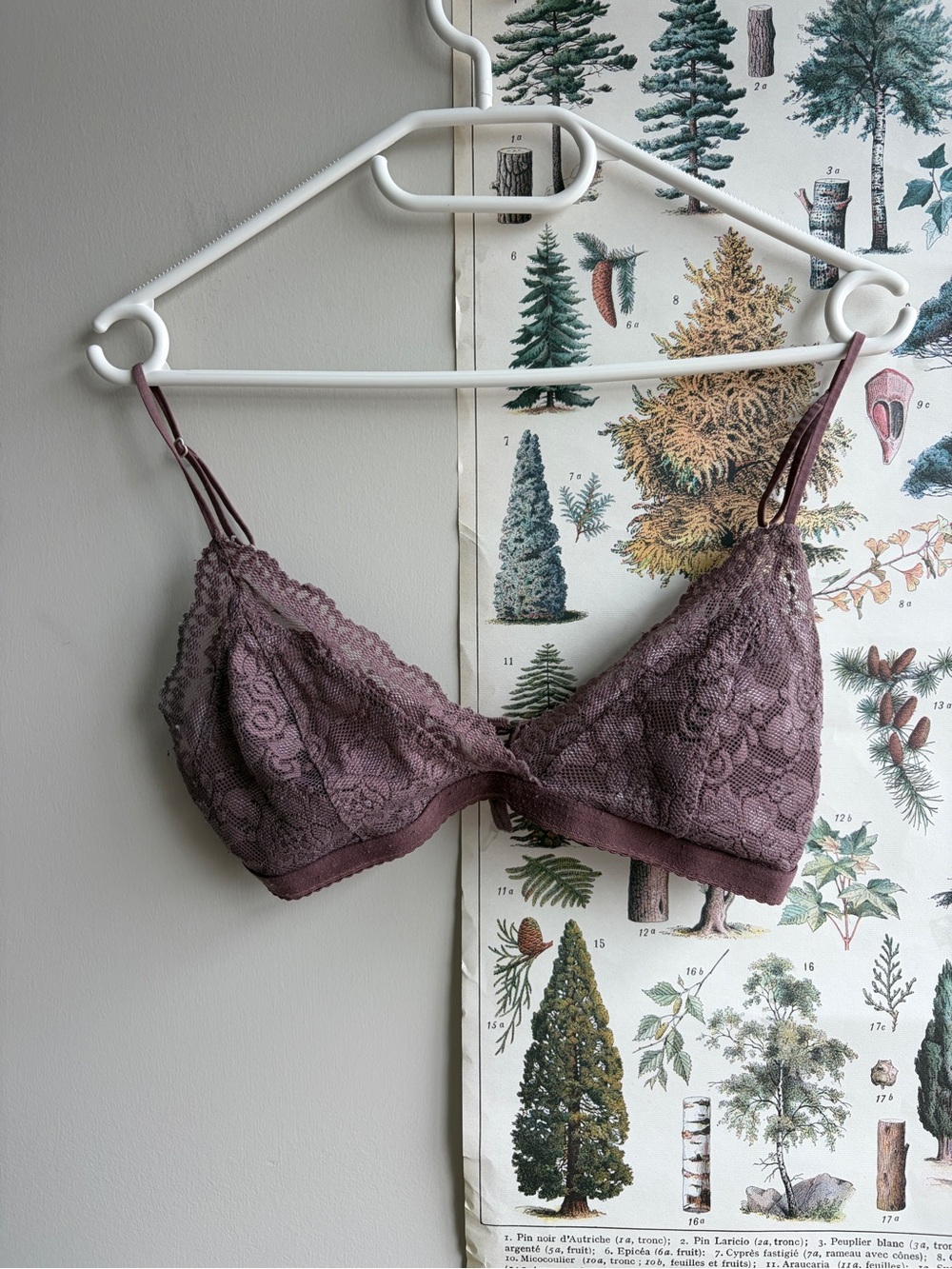Talula By Aritzia Lace Bralette Medium